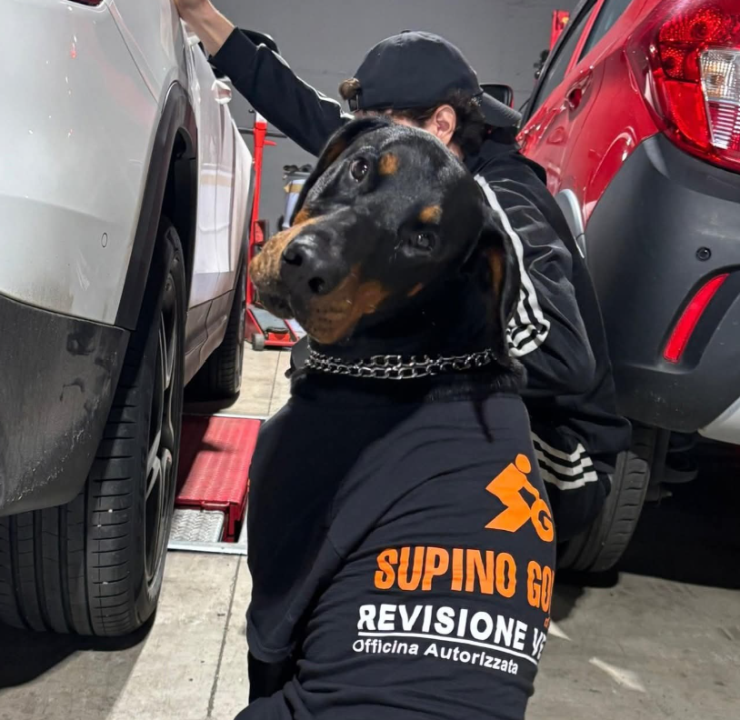 Anteprima di Supino Gomme
